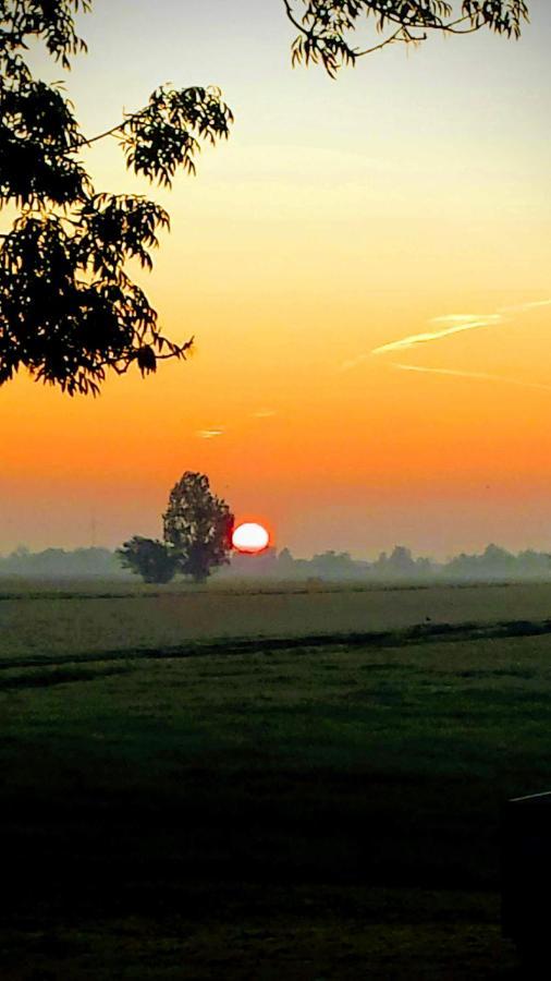 Het Kraaienbosch Bed & Breakfast Zegveld Dış mekan fotoğraf