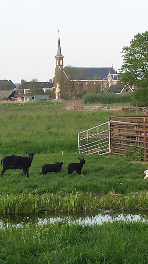 Het Kraaienbosch Bed & Breakfast Zegveld Dış mekan fotoğraf